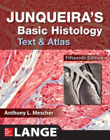 Junqueira’s_Basic_Histology_Text_and_Atlas_PDFDrive_com_.pdf